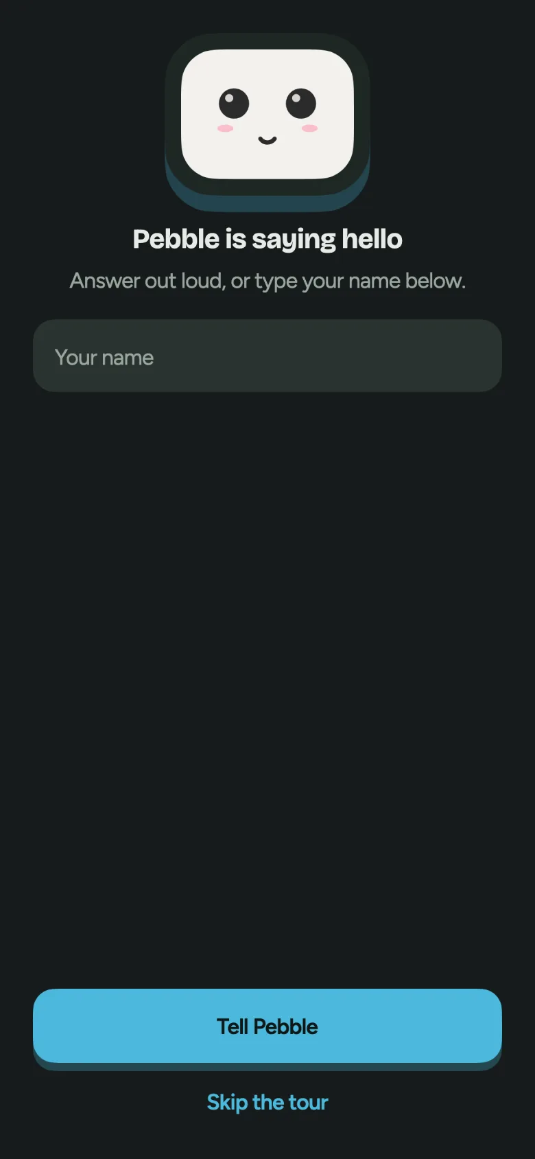 The Pebble app showing Pebble saying hello and asking your name