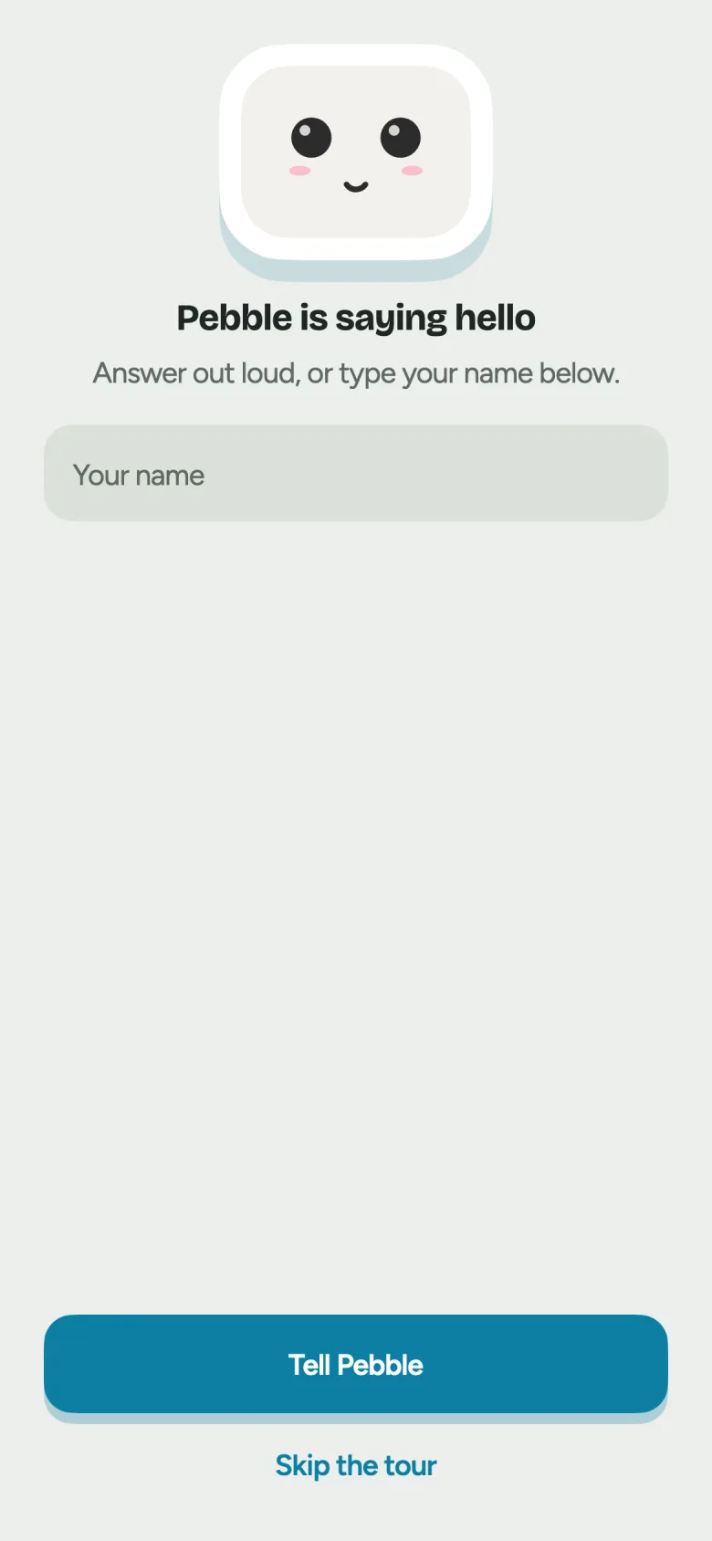 The Pebble app showing Pebble saying hello and asking your name